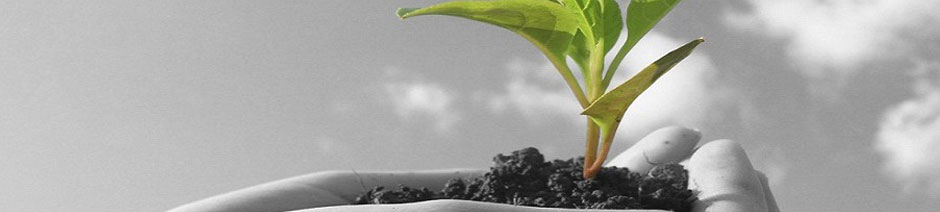 ISO 14001 Belgelendirme