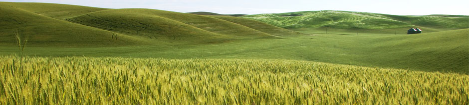 Gute landwirtschaftliche Zertifizierung