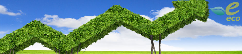 ECOmark Eko Belgelendirme