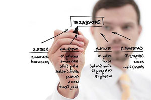 ISO 9001 Organizasyon Şeması