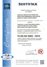ISO 9001 证书