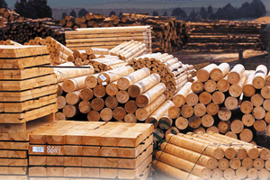 რა არის FSC-COC ტყის მართვის სისტემის სერტიფიცირების პროცესი