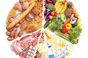 BRC Food Lebensmittelsicherheitssystem
