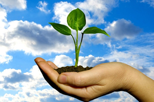 ISO 14001 Belgesi Neden Gereklidir