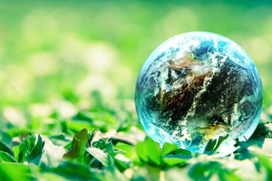 ISO 14001 Kalite Belgesi Ne İşe Yarar