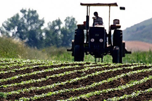Надлежащая сельскохозяйственная практика в Турции