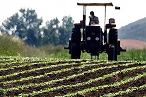 Buona pratica agricola in Turchia