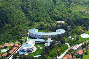 Turuncu Yıldız Nedir